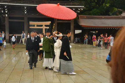 DSC_3312 (Large).JPG